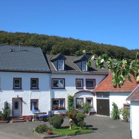 Ferienhof An Der Lay Kerpen  外观 照片
