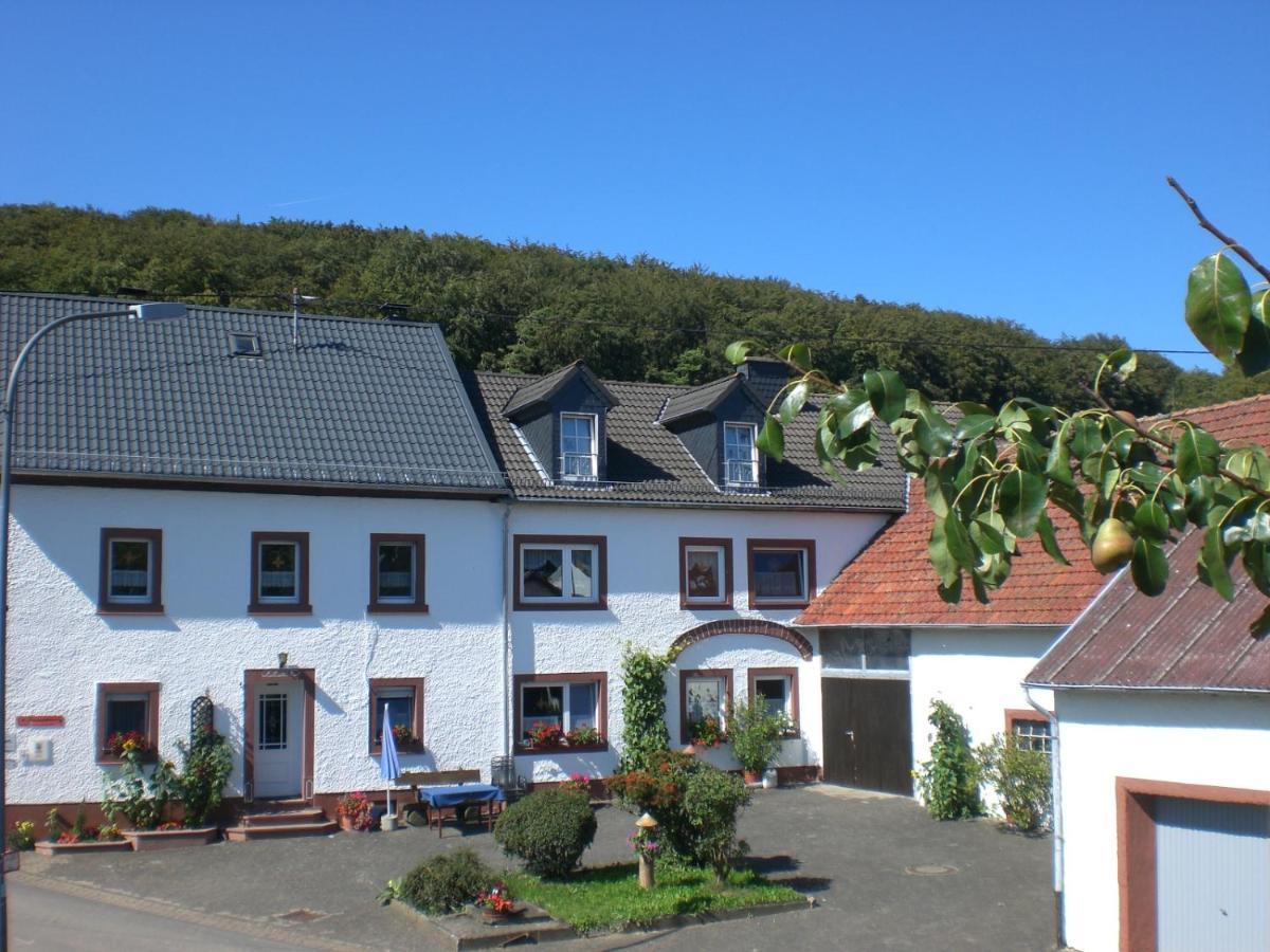 Ferienhof An Der Lay Kerpen  外观 照片