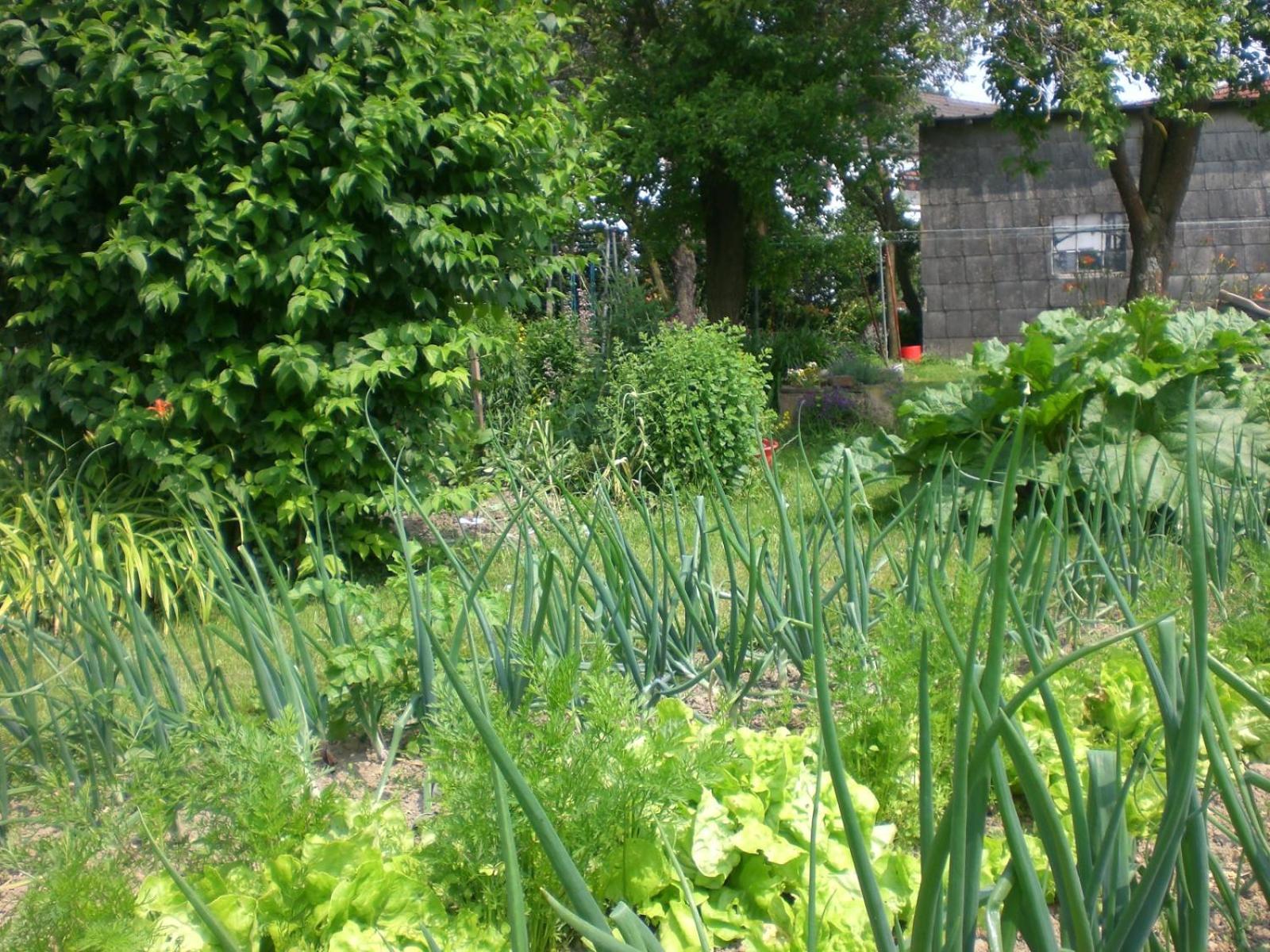 Ferienhof An Der Lay Kerpen  外观 照片