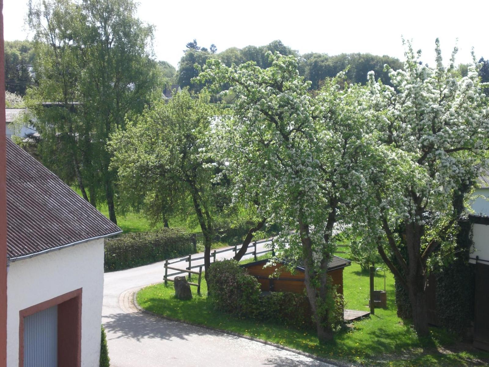 Ferienhof An Der Lay Kerpen  外观 照片