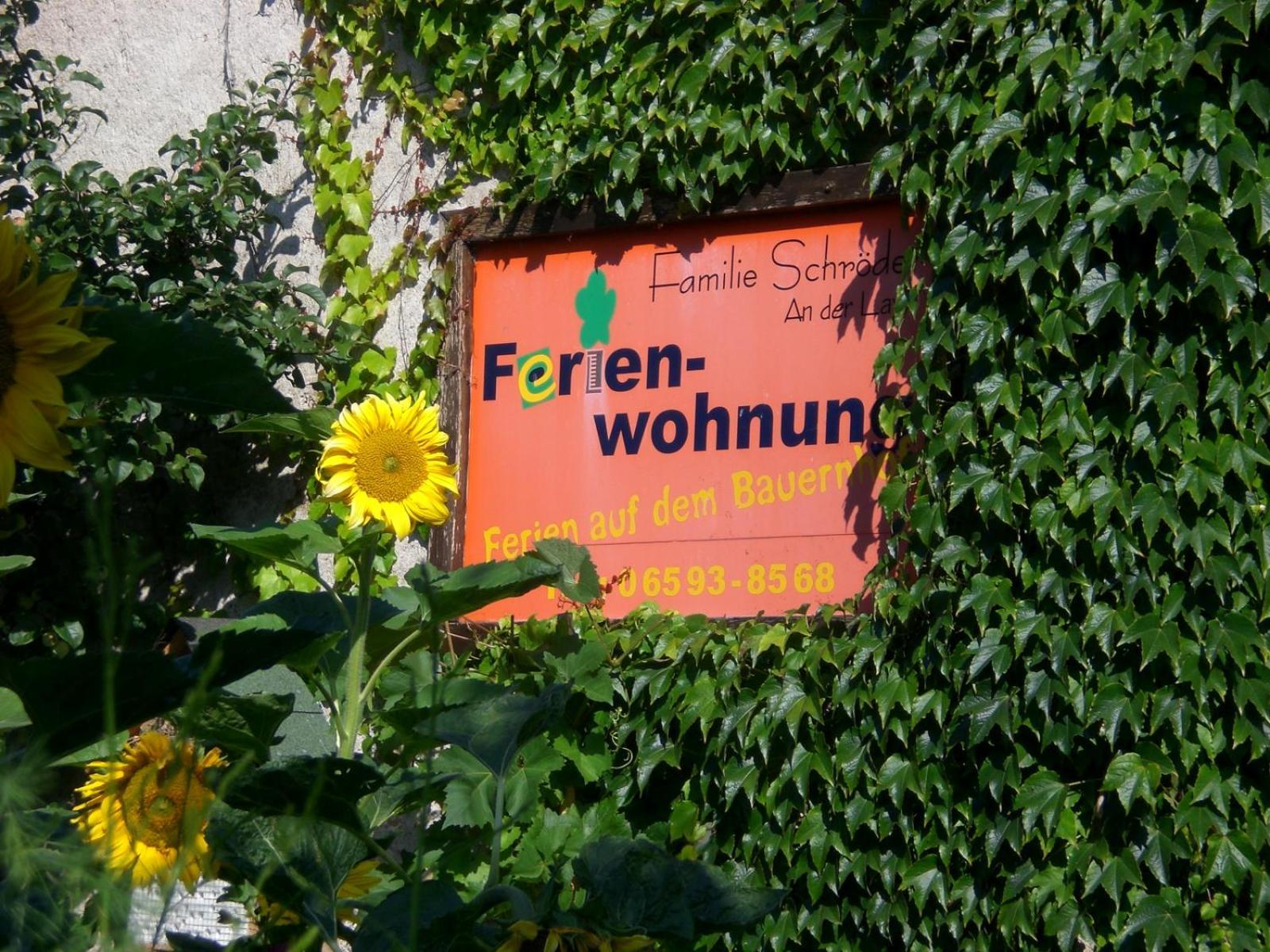Ferienhof An Der Lay Kerpen  外观 照片