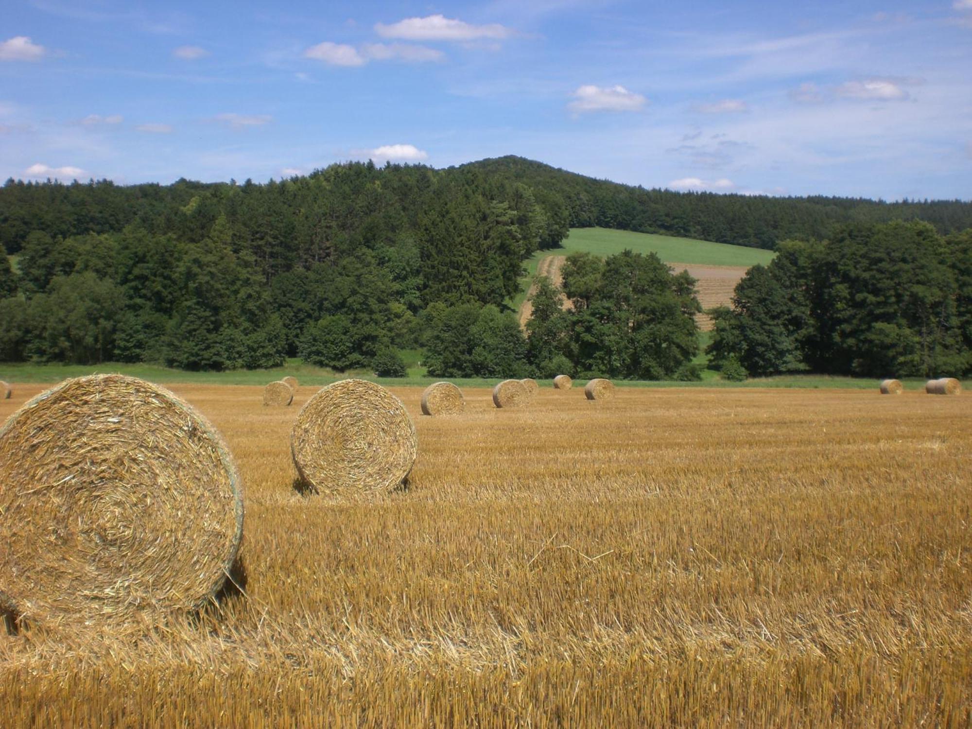 Ferienhof An Der Lay Kerpen  外观 照片