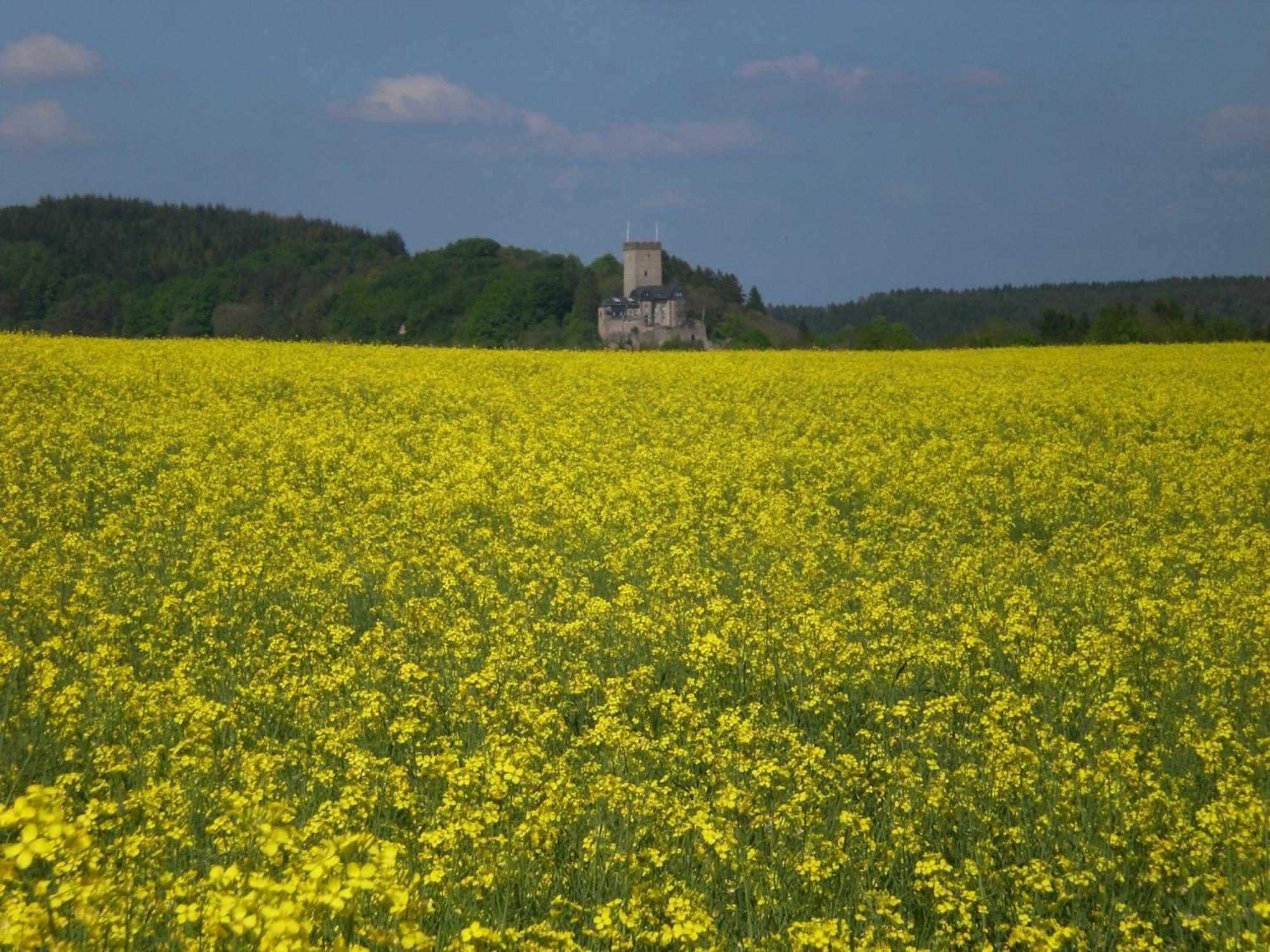 Ferienhof An Der Lay Kerpen  外观 照片