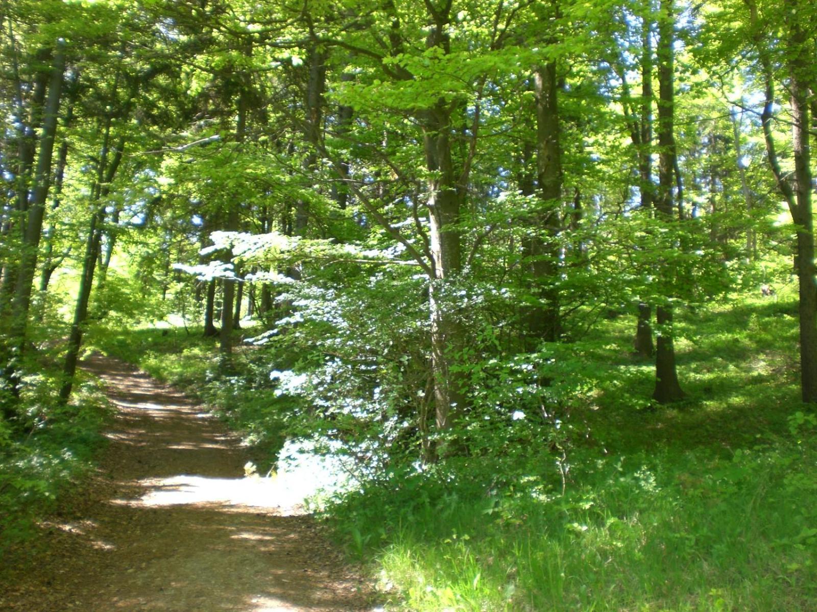 Ferienhof An Der Lay Kerpen  外观 照片