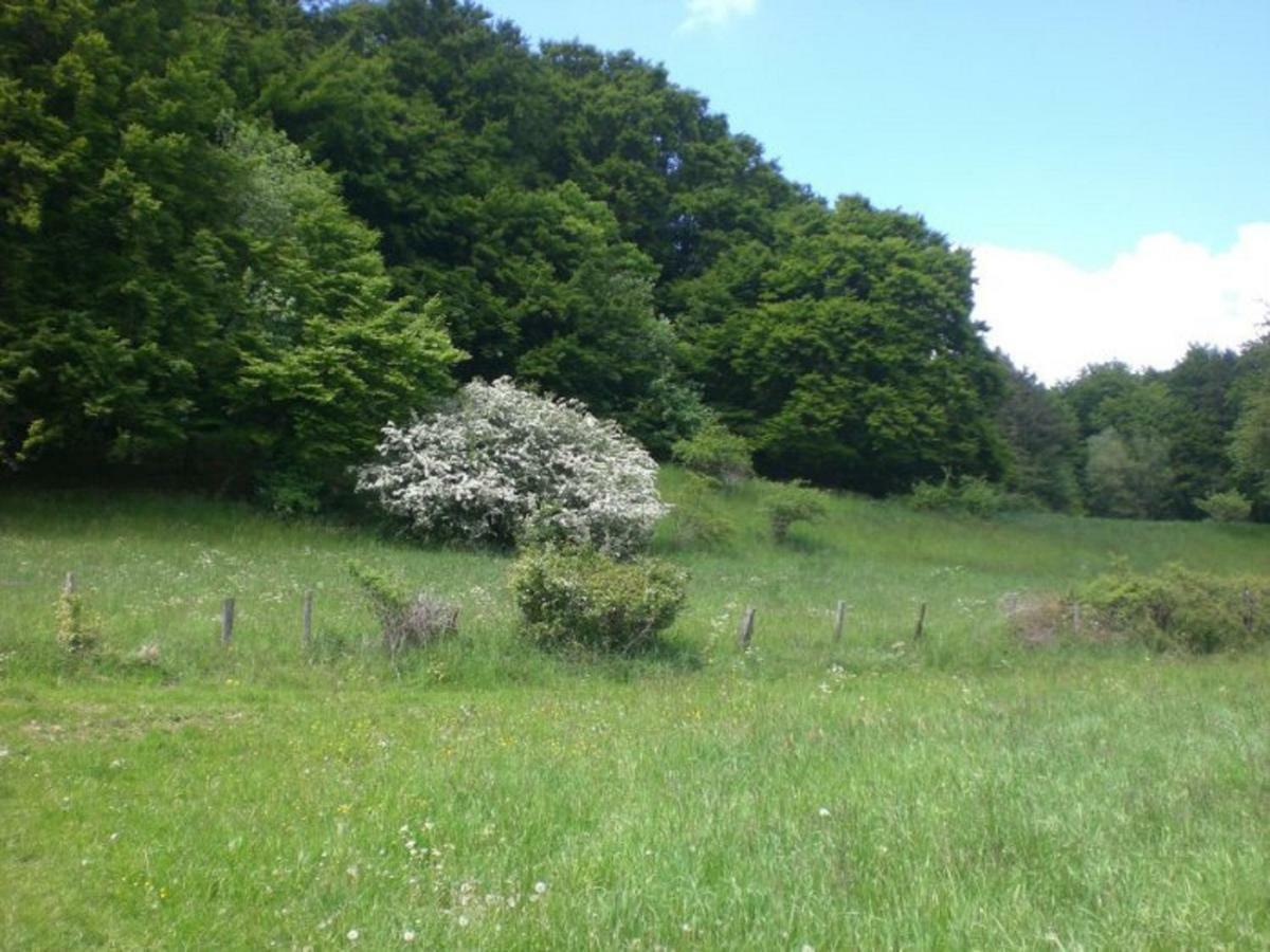 Ferienhof An Der Lay Kerpen  外观 照片